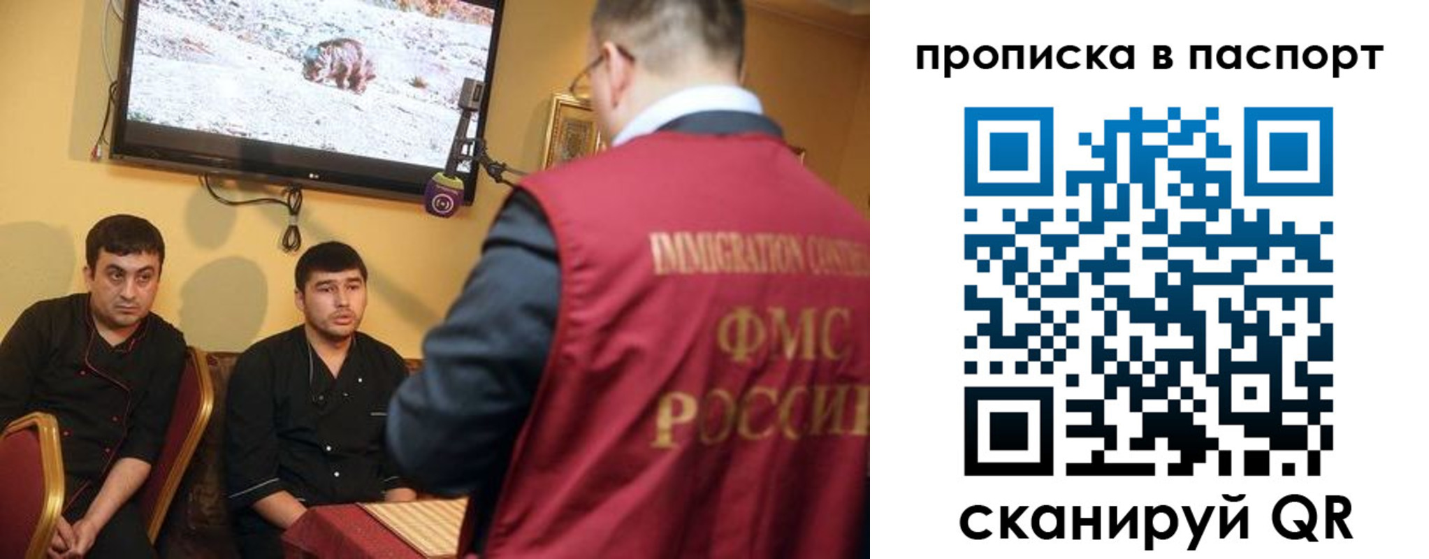 прописка в Высоковске